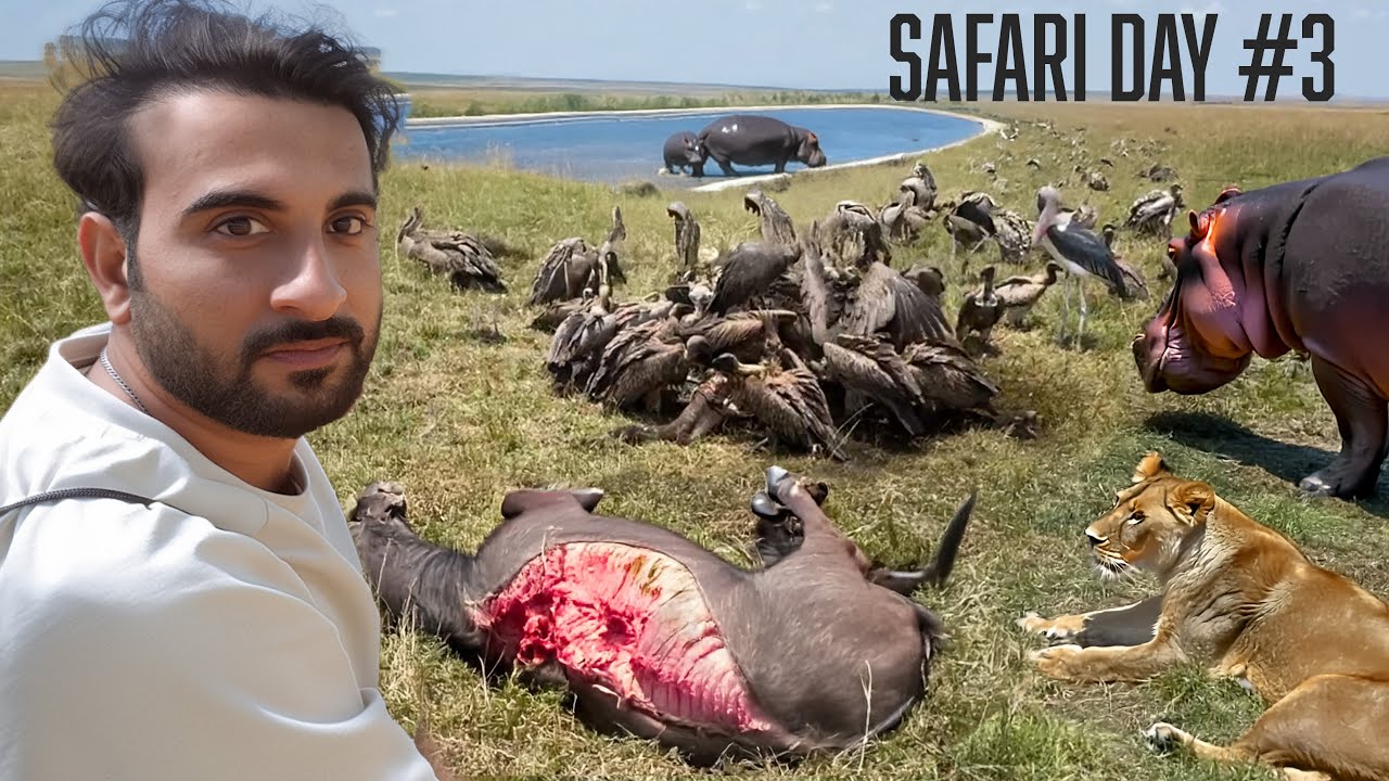 Maasai Mara Safari😍 DAY#03