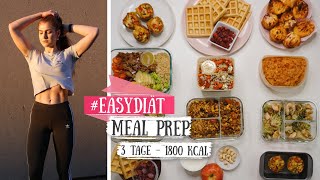 Meal Prep: 3 einfache und schnelle Rezepte für den ganzen Tag