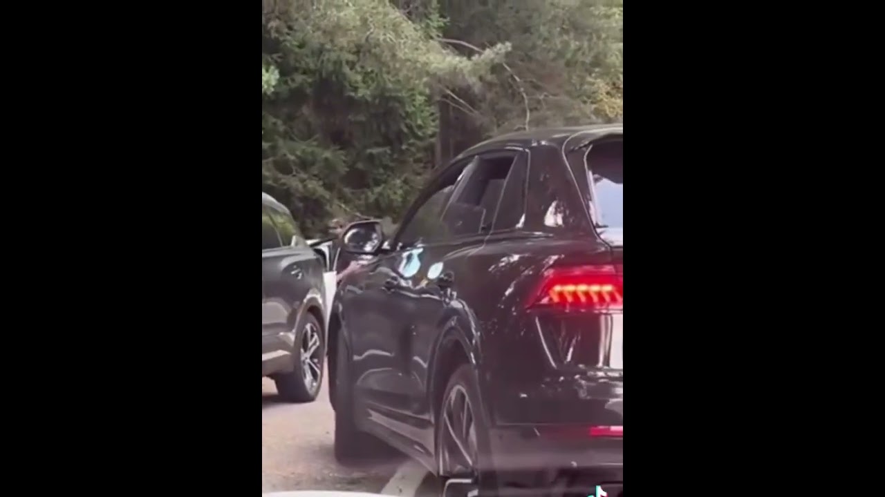 Bear attack in Romania 