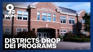 What would a DEI Title VI violation look like for a school?