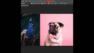 Use of Move Tool in Photopea #photopea #photoediting