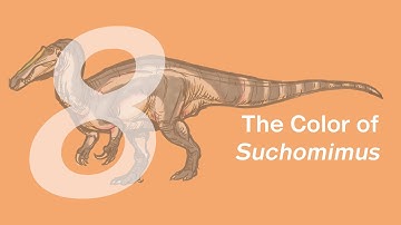 Thabo the Suchomimus 8: The Color | Learn to Draw Dinosaurs with ZHAO Chuang