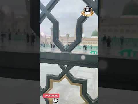 يا رايحين للنبي الغالي