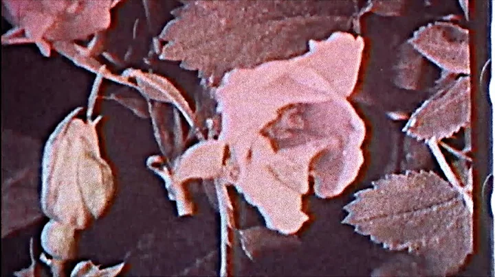 mewithoutYou - "Julia (or, 'Holy to the LORD' on t...