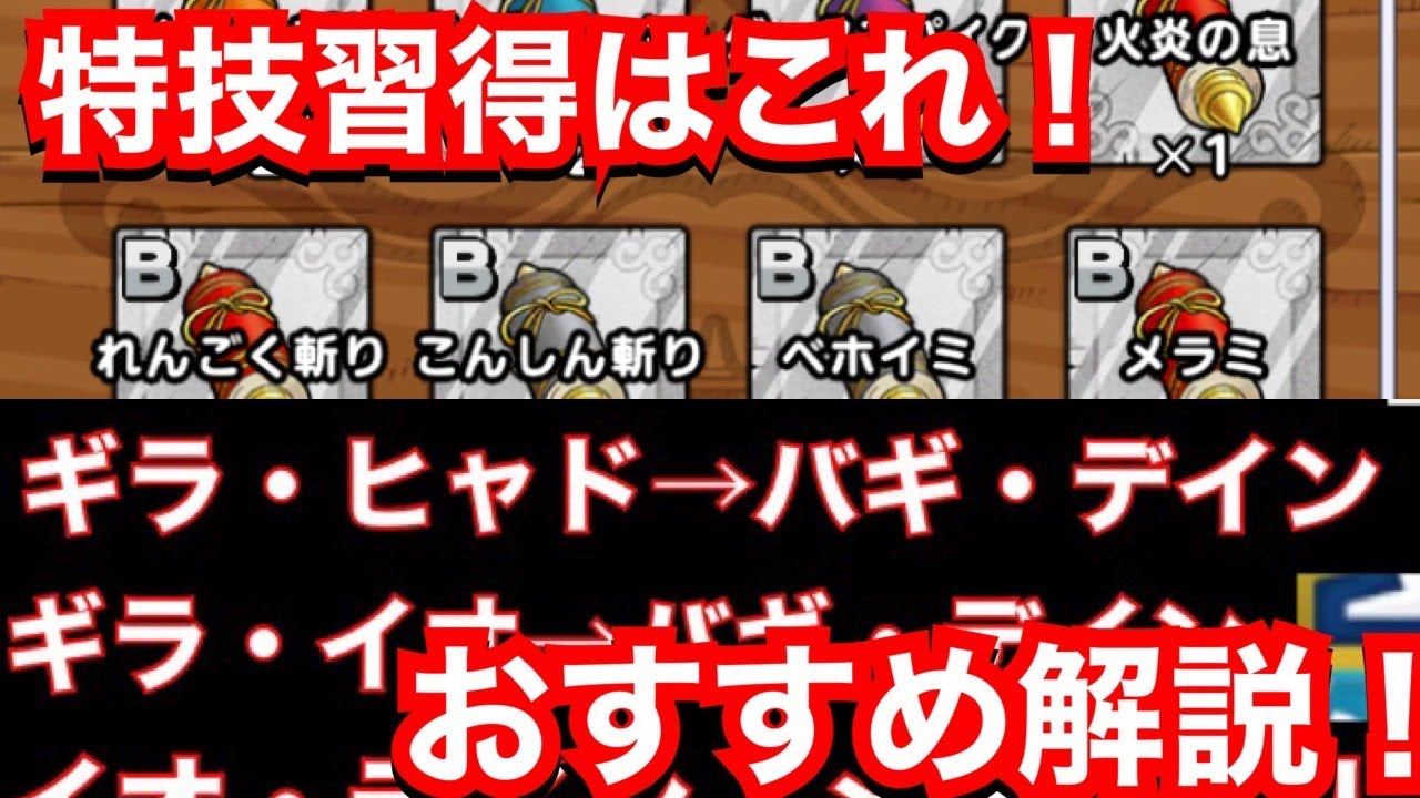 特技 習得 タクト ドラゴンクエスト