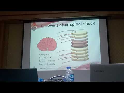 Spinal cord injury ตอน​ 1 การ​ทำงาน​ของ​ไขสันหลัง​เบื้องต้น