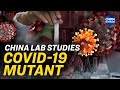 Chinese lab tests mutant covid19 strain  trailer  china in focus