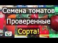 СЕМЕНА ТОМАТОВ на 2020 год. ПРОВЕРЕННЫЕ СОРТА!