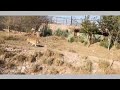 Zoo park Jaipur