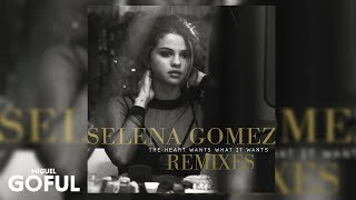 Selena gomez - the heart wants what it (ruff loaderz remix)