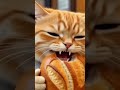 ToiToi wants Bread🥪🍞#meow #ai #aicat #aicats #aishorts #aigenerated#orangecat #anime #cats#bread