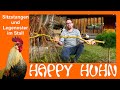 E130 Sitzstangen und Legenester im Hühnerstall - HAPPY HUHN - Der Hühnergarten entsteht TEIL 4 Stall