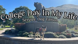 College Day In The Life || Freshman in the Dorms with a Service Dog