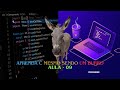 Aula 09 - Programação em C | Como usar várias estruturas de condição (mesmo sendo burro) #coding