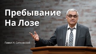 картинка: Пребывать На Лозе и Приносить Плод || Проповедь – Павел Н. Ситковский