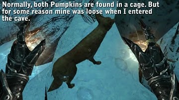 Skyrim Easter Eggs: Fallout Reference