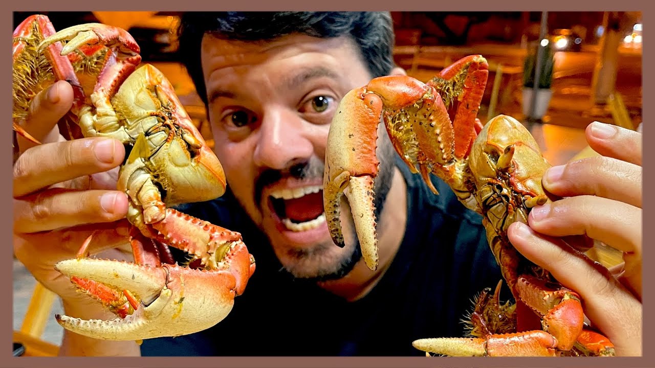 Provando as MELHORES comidas de ARACAJU 🦜 - Sergipe | RIO4FUN