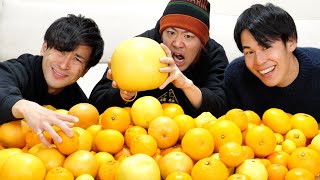 この柑橘類の名前、全部当てるまで終われないクイズが激ムズすぎてキレた！！！！！