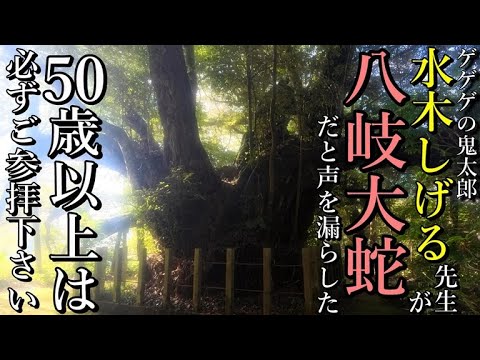 ⚠️神回※水木しげる先生が思わず「ヤマタノオロチだ!」と声を漏らした日本一のご神木⚠️【島根県松江市八雲町 志多備神社】