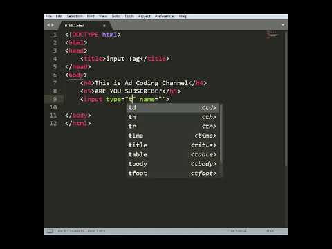 Input tas in html | Part 01 | Web development 2022 | New Website in 2021 |