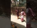Gaw ka dance hindi song dance