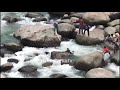 Child drowning in Ravi River Chamba Saved By Some People LIve Video