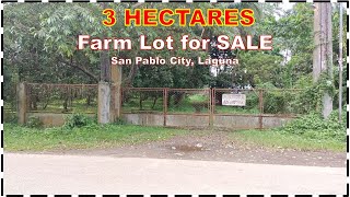 FARM LOT FOR SALE (PROP# 150) 3 HECTARES, SAN PALO CITY, LAGUNA