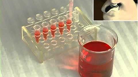 DRAGONLAB MicroPette Pipette Forward pipetting MicroPette