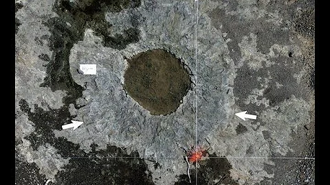 DISCOVERED :  OLDEST FOREST IN THE WORLD, DATING BACK 386 MILLION YEARS