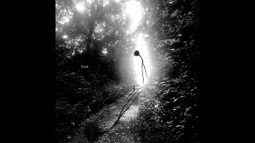 XXI ~ Arithmetics in the Cathedral