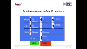ROTEM 101 - Basic Interpretation