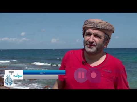 جزيرة سقطرى... أسرار الدهشة / الفيلم الاضخم عن الجزيرة اليمنية