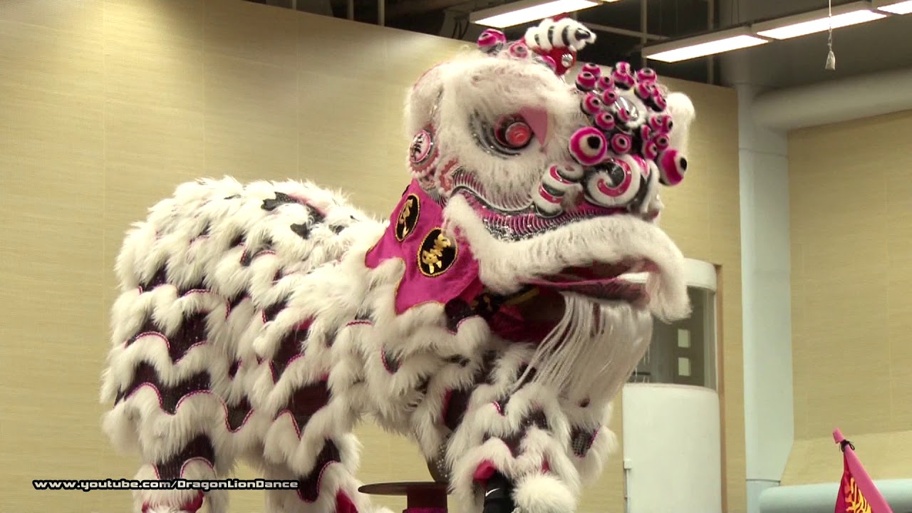 姜氏金龍醒獅團B隊 