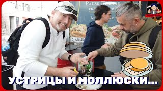 Устрицы против моллюсков: Битва титанов морепродуктов!