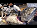 한시간 순삭! 거대한 생참치 해체쇼와 대왕민어 일품 코스요리 몰아보기 / Giant tuna cutting show and Luxurious sashimi course