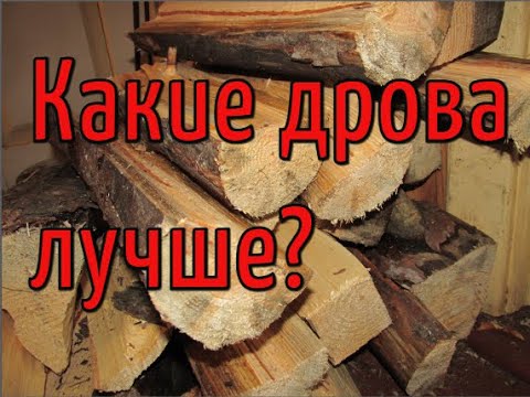 Какими дровами лучше топить печь