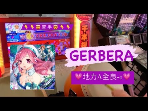 GERBERA 全良【太鼓の達人 アジアver.】(グリーン2.0)