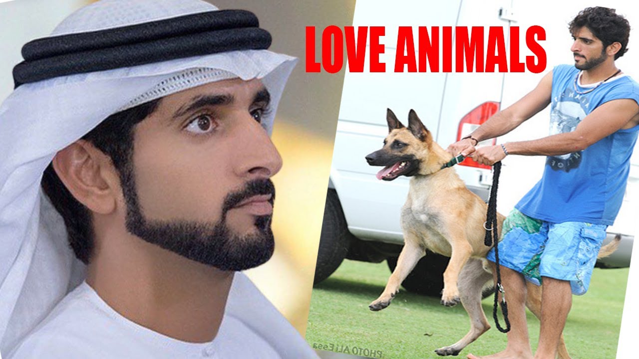 5 MOMENTS WHEN SHEIKH HAMDAN SHOWED HIS LOVE FOR ANIMALS
