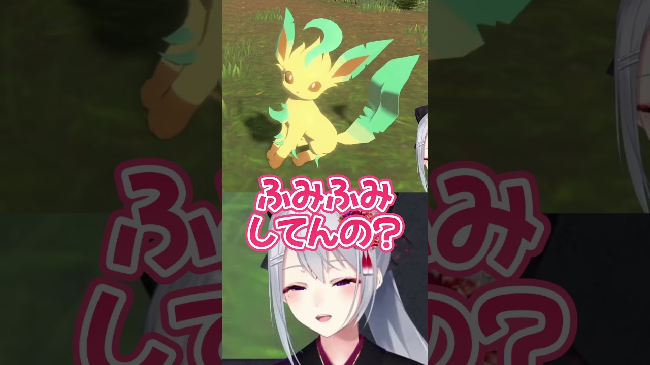 【ミジュマル】大人気なポケモンを紹介します。