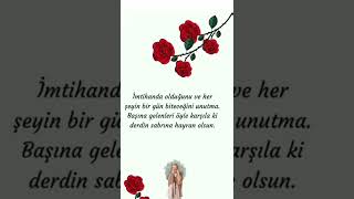 Hayirli Geceler Sözler Anlamli Sözler Özler Isözler Şfet