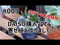 #009 DAISO購入品でサボテン&多肉植物寄せ植え！！