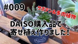 #009 DAISO購入品でサボテン&多肉植物寄せ植え！！