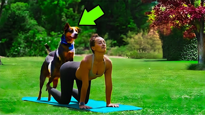 This Angry Dog's Behavior During a Woman's Yoga Session Shocked the Whole World!