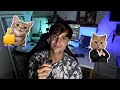 Intro - Freelance