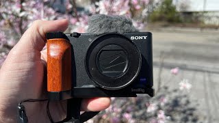 Sony ZV-1 Image Stabilization Options