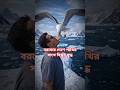 বরফের দেশে পাখির সাথে বিস্কুট যুদ্ধ
