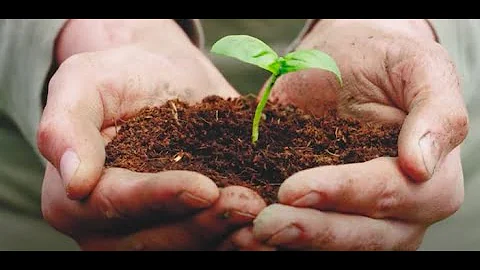 Agroecology for Sustainable Food Systems