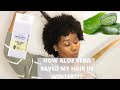 HOW ALOE VERA SAVED MY HAIR IN WINTER|| SOUTH AFRICAN YOUTUBER