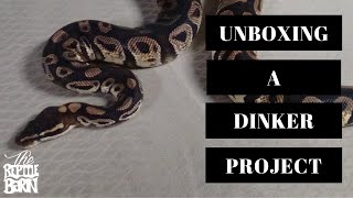 Famous Unboxing A Dinker From HBP | Orange Blossom Dinker Project Net Worth