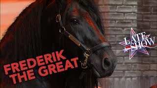 Meet Frederik the Great: World's Most Handsome Horse